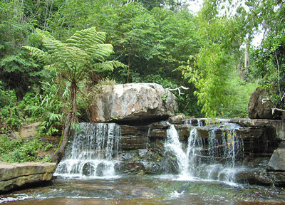 attraction-Virachey National Park 2.jpg